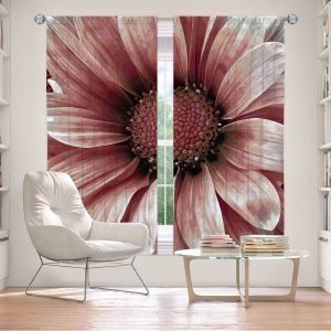 Decorative Window Treatments | Angelina Vick - Daisy Blush Pink | Flower close up