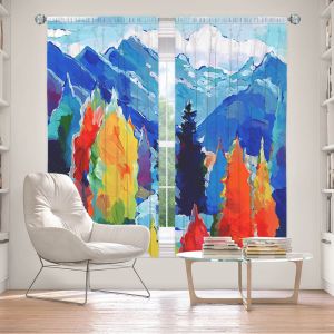 Decorative Window Treatments | Hooshang Khorasani Cascade of Colors