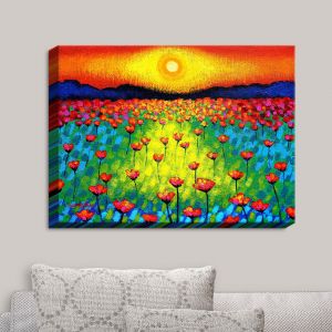 Decorative Canvas Wall Art | John Nolan - Sunlit Poppies