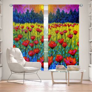 Decorative Window Treatments | John Nolan Twilight Poppies