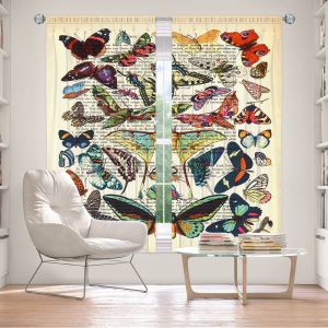 Decorative Window Treatments | Madame Memento Butterflies Collection