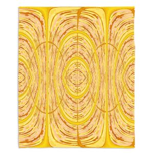 Decorative Fleece Throw Blankets | Susie Kunzelman - Door Number 1 | Abstract pattern