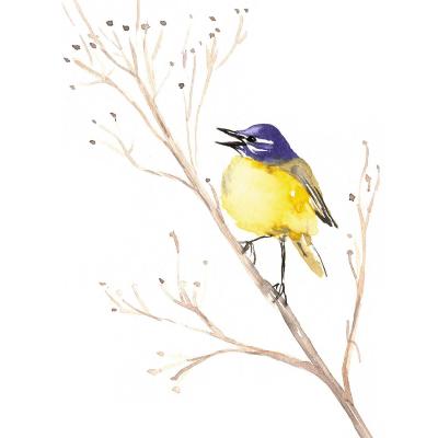 DiaNoche Designs Artist | Brazen Design Studio - Yellow Wagtail Bird