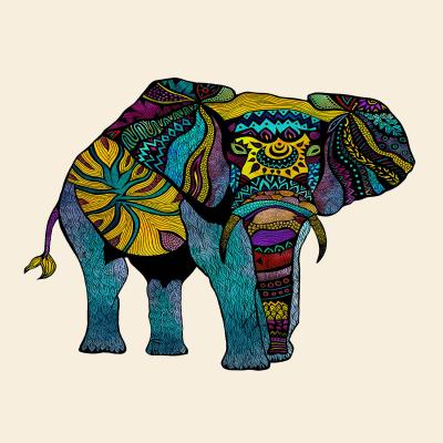 DiaNoche Designs Artist | Pom Graphic Design - Elephant of Namibia
